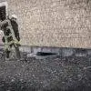 Dark Horse 2.0 – Bild 21
